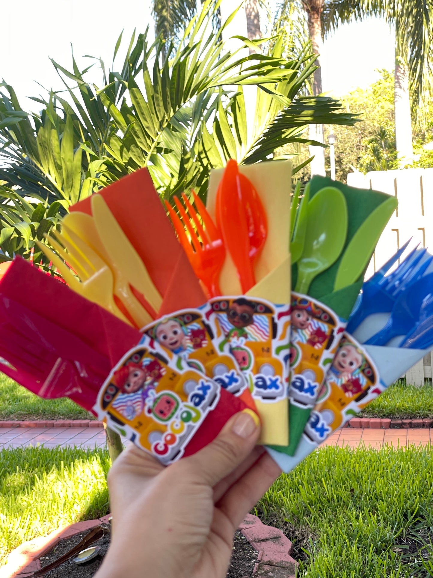 Cocomelon Party Supplies