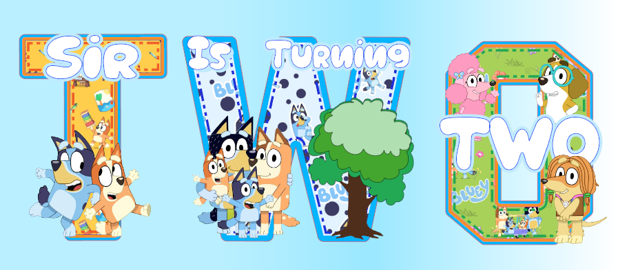 Bluey Party Package - Ultimate Celebration Set!