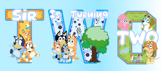 Bluey Party Package - Ultimate Celebration Set!